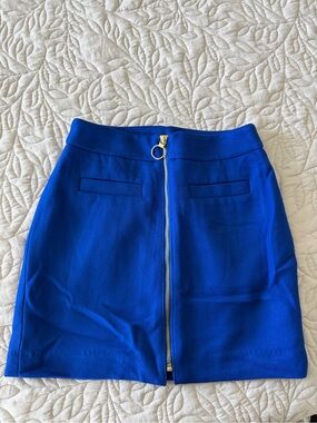 Express Royal Blue Front-Zip Mini Skirt